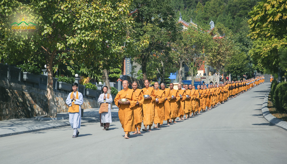 Những bước chân an lạc của Tăng đoàn trì bình khất thực tại khuôn viên chùa Ba Vàng