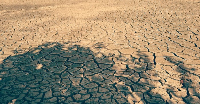 Đất đai tại vùng Vesali khô cằn, nứt nẻ vì hạn hán