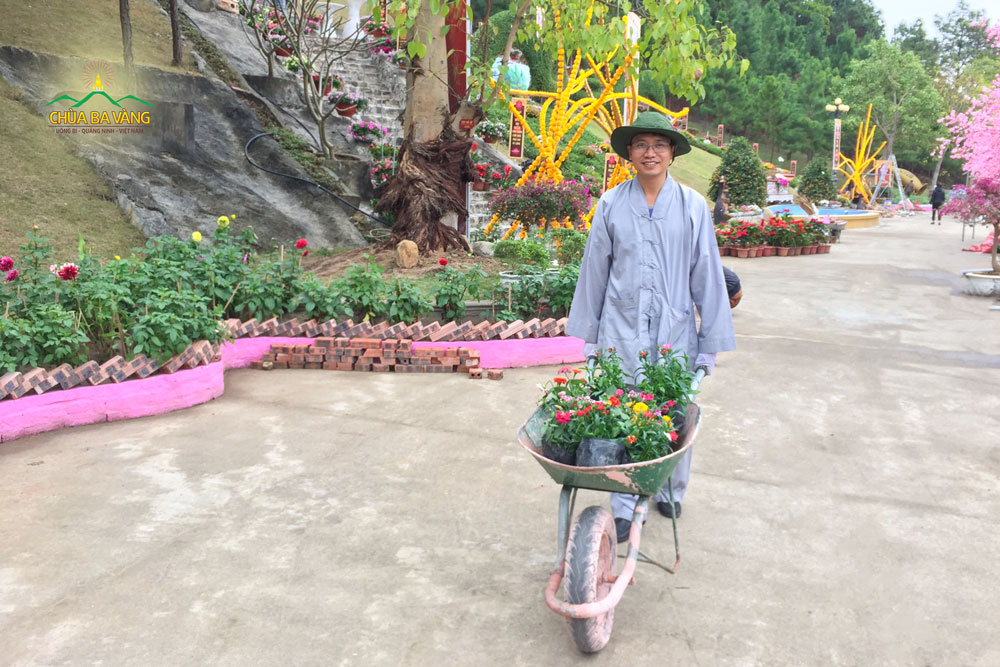 Phật tử vận chuyển những khóm hoa tại khu vườn xuân A Di Đà 