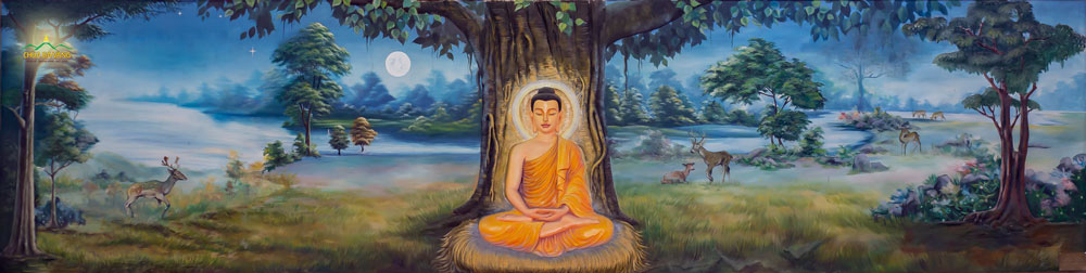Đức Phật thành tựu quả vị Phật toàn giác sau 49 ngày đêm ngồi thiền dưới cội cây Bồ Đề