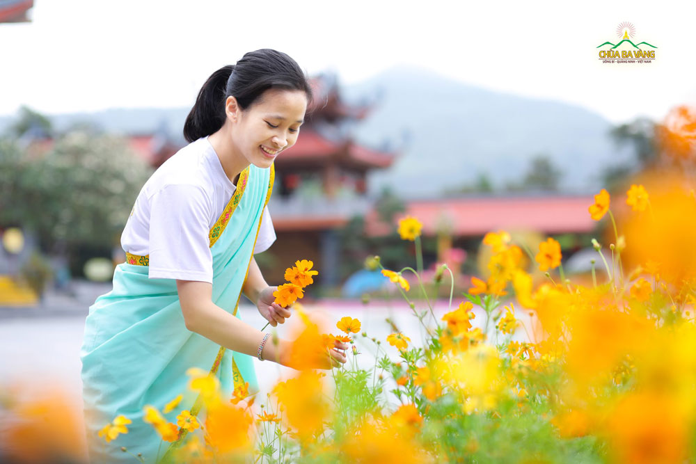 Những bông hoa như tô thêm sắc màu rực rỡ trong niềm hạnh phúc của người Phật tử đón mừng ngày Khánh đản