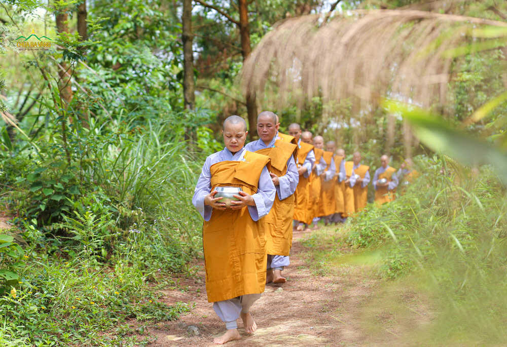 Chư Ni chùa Ba Vàng từ trong rừng thiền Ni ra bìa rừng để thọ nhận sự đặt bát cúng dường của các Phật tử