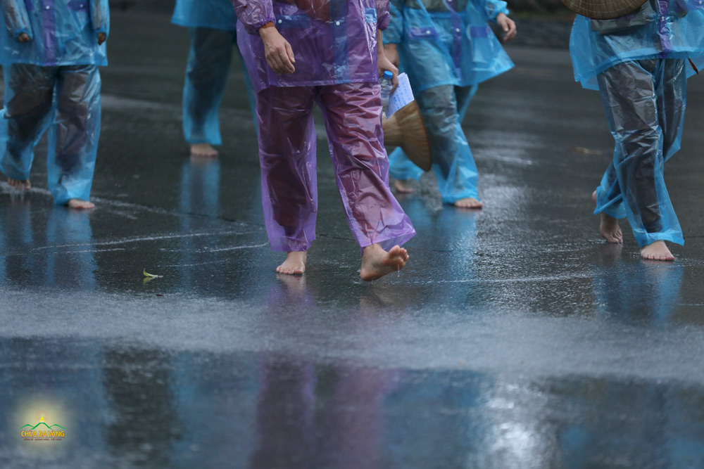 Những bước chân trần an nhiên tự tại của chư Tăng chùa Ba Vàng bước đi kinh hành dưới trời mưa nặng hạt