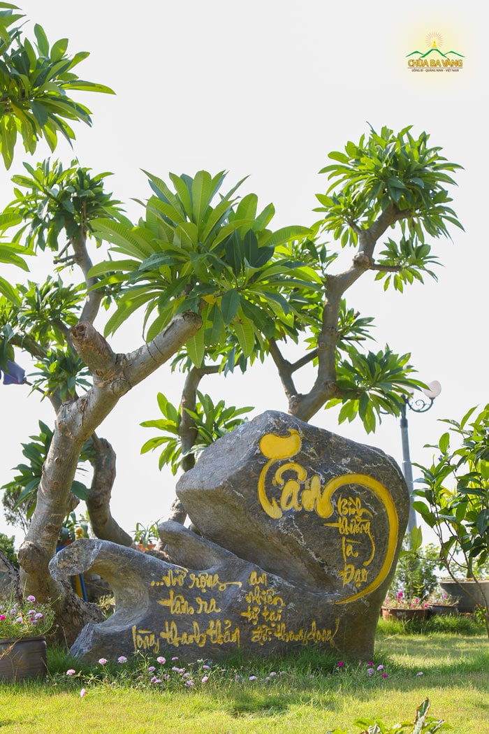 Trong kinh Phật dạy: “Nhất thiết duy tâm tạo”. Tâm chúng ta làm chủ tạo nên pháp giới này