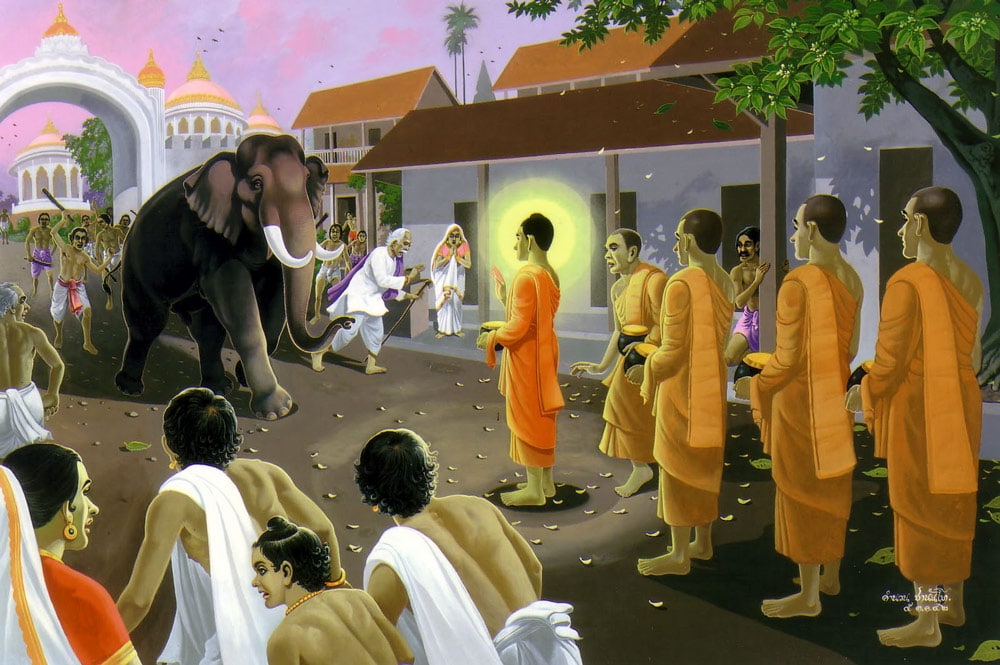 Con voi điên tấn công Đức Phật và Tăng đoàn (ảnh minh họa)