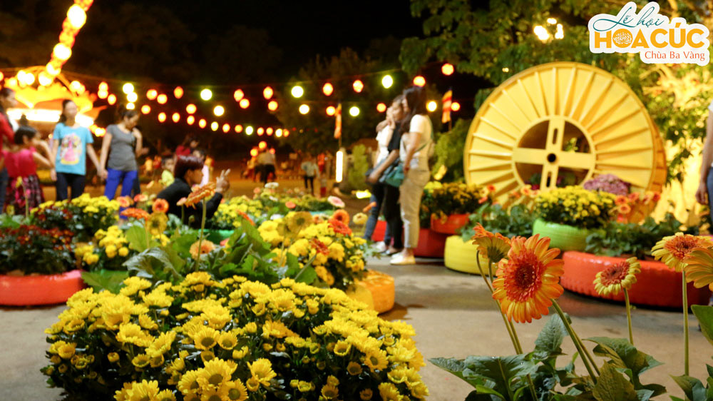 Lễ hội Hoa Cúc là lễ hội thường kỳ được tổ chức vào dịp Tết Trùng Cửu tại chùa Ba Vàng