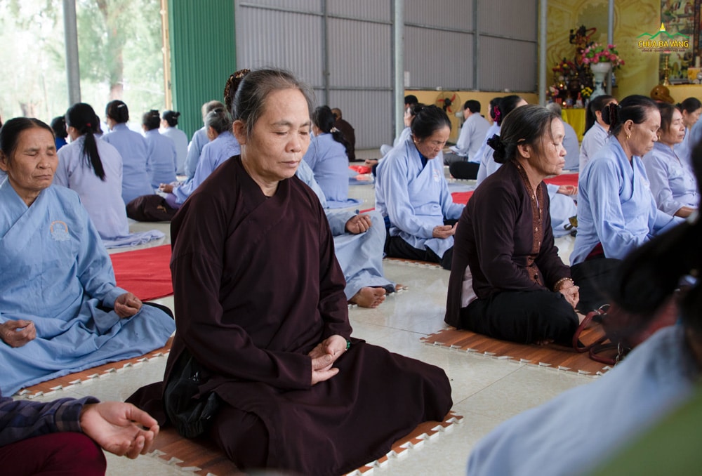 Các quý Phật tử trang nghiêm trong thời khóa ngồi thiền theo sự hướng dẫn của chư Tăng.