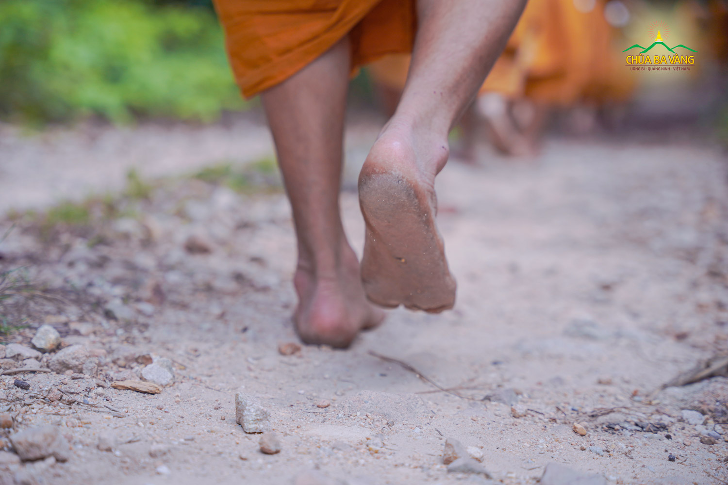 Đôi chân chai sần của chư Tăng chùa Ba Vàng 