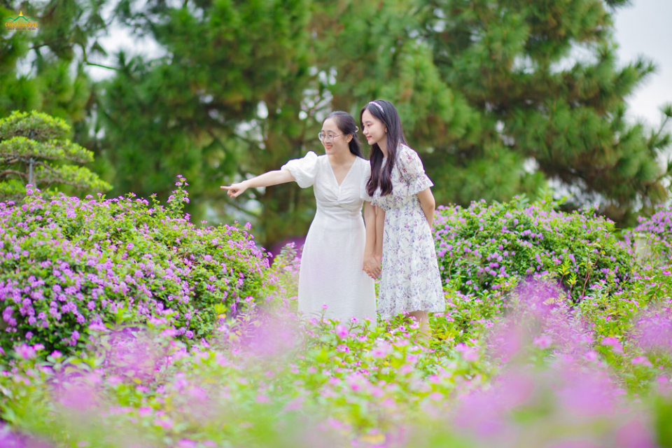 Vườn hoa tím là nơi các bạn trẻ đến tham quan và lưu lại những bức ảnh đẹp
