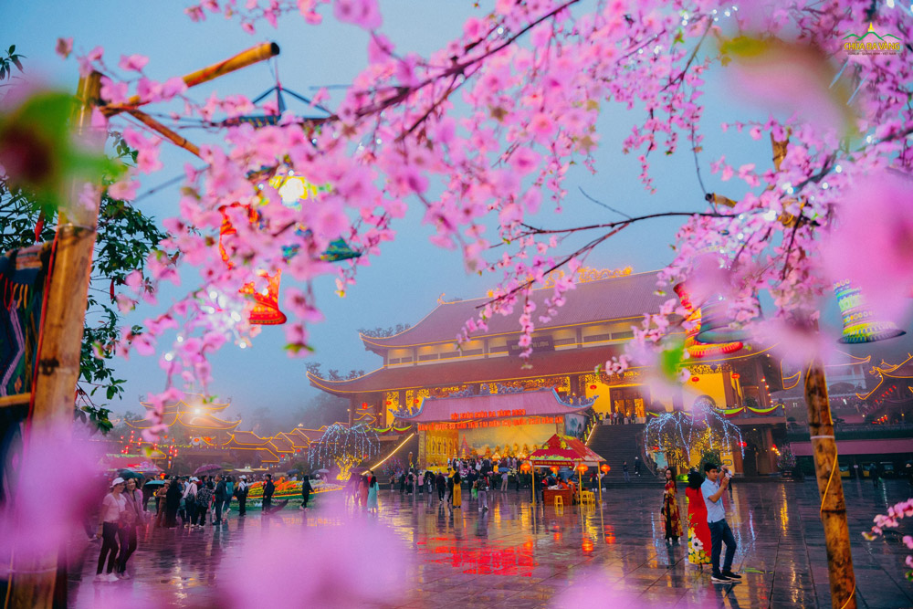 Những ngày đầu năm, chùa Ba Vàng đón những cơn mưa xuân nhè nhẹ, tô điểm thêm cho cảnh Phật linh thiêng