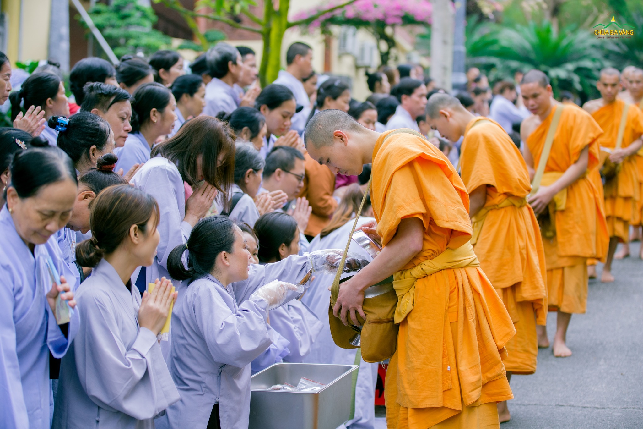 Với lòng kính tín Tam Bảo, Phật tử thành kính đặt bát cúng dường chư Tăng  