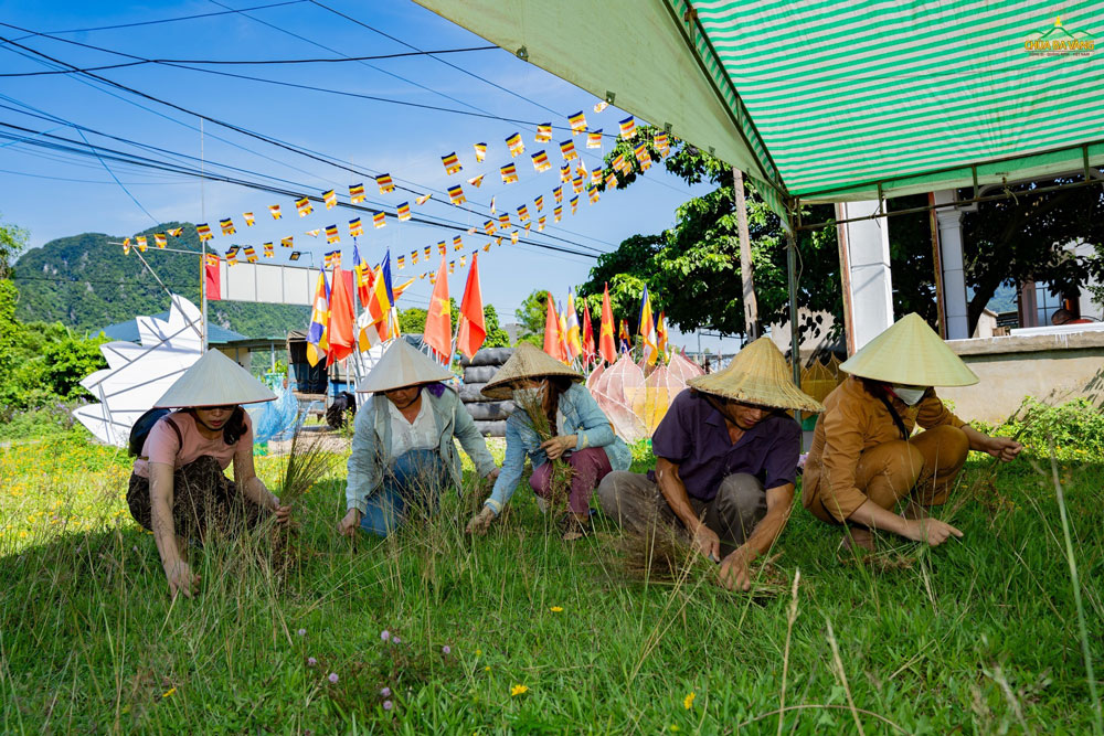 Các Phật tử nhổ cỏ làm sạch cảnh quan nơi diễn ra lễ cầu siêu  