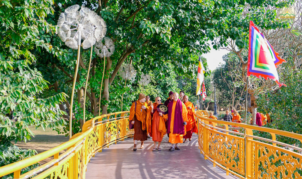 Trong tình pháp lữ quý báu, phái đoàn chư Tôn đức Tăng quốc tế được Sư Phụ cùng chư Tăng đưa đi tham quan khuôn viên chùa Ba Vàng