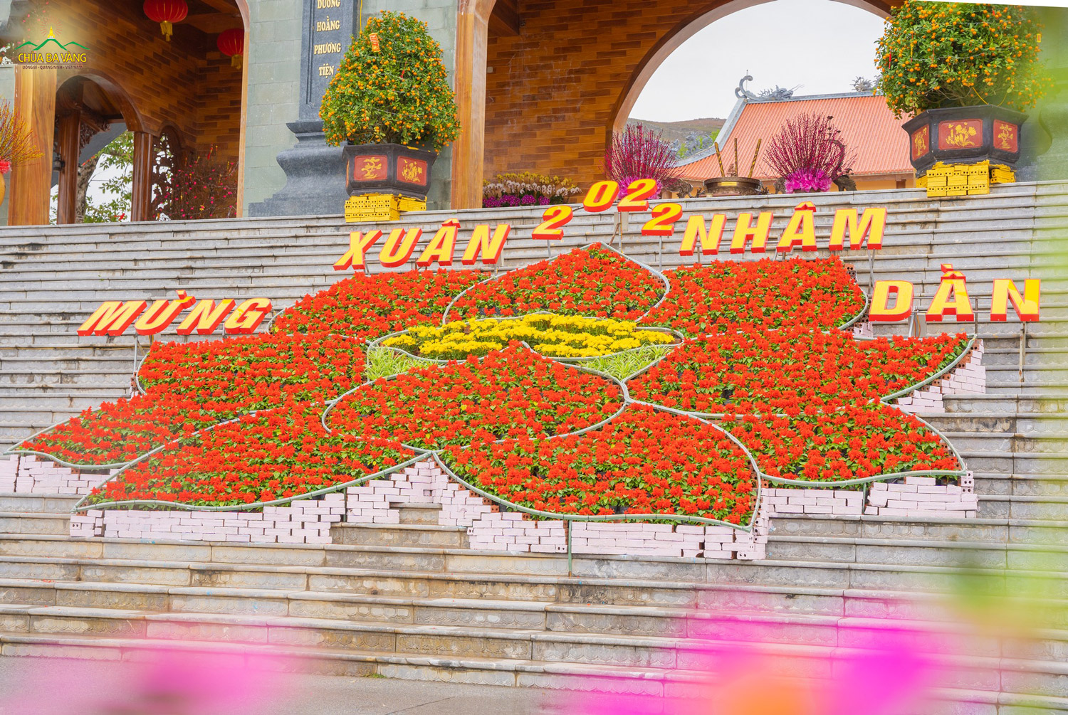 Tiểu cảnh hoa sen tạo nên một bức tranh rực rỡ nơi cổng Tam Quan chùa Ba Vàng  