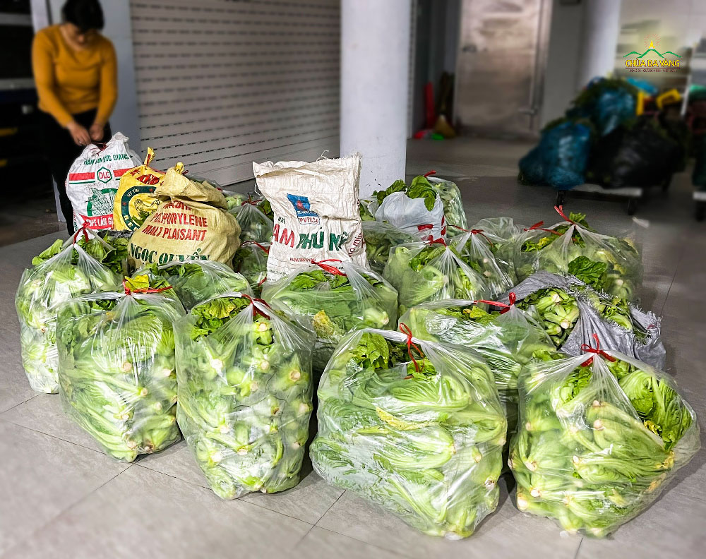 400kg rau cải đã được vận chuyển về chùa.  