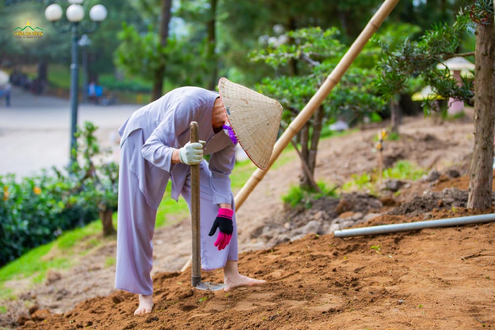 Phật tử chăm chú trong phận sự được giao.