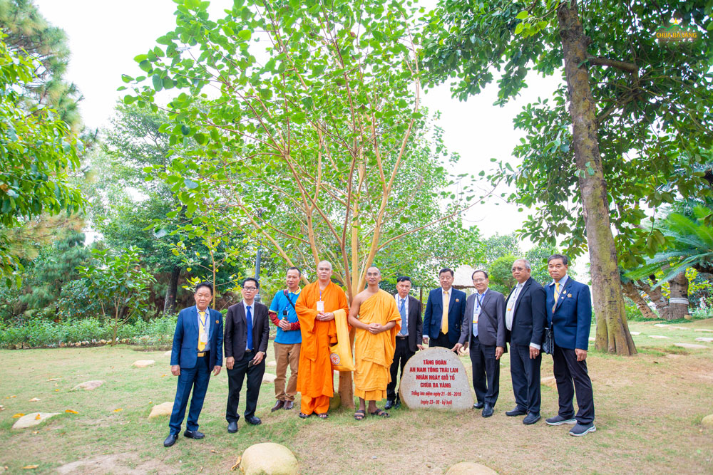 Hình ảnh tại cây Bồ đề được trồng lưu niệm trong chuyến thăm 4 năm trước của phái đoàn   