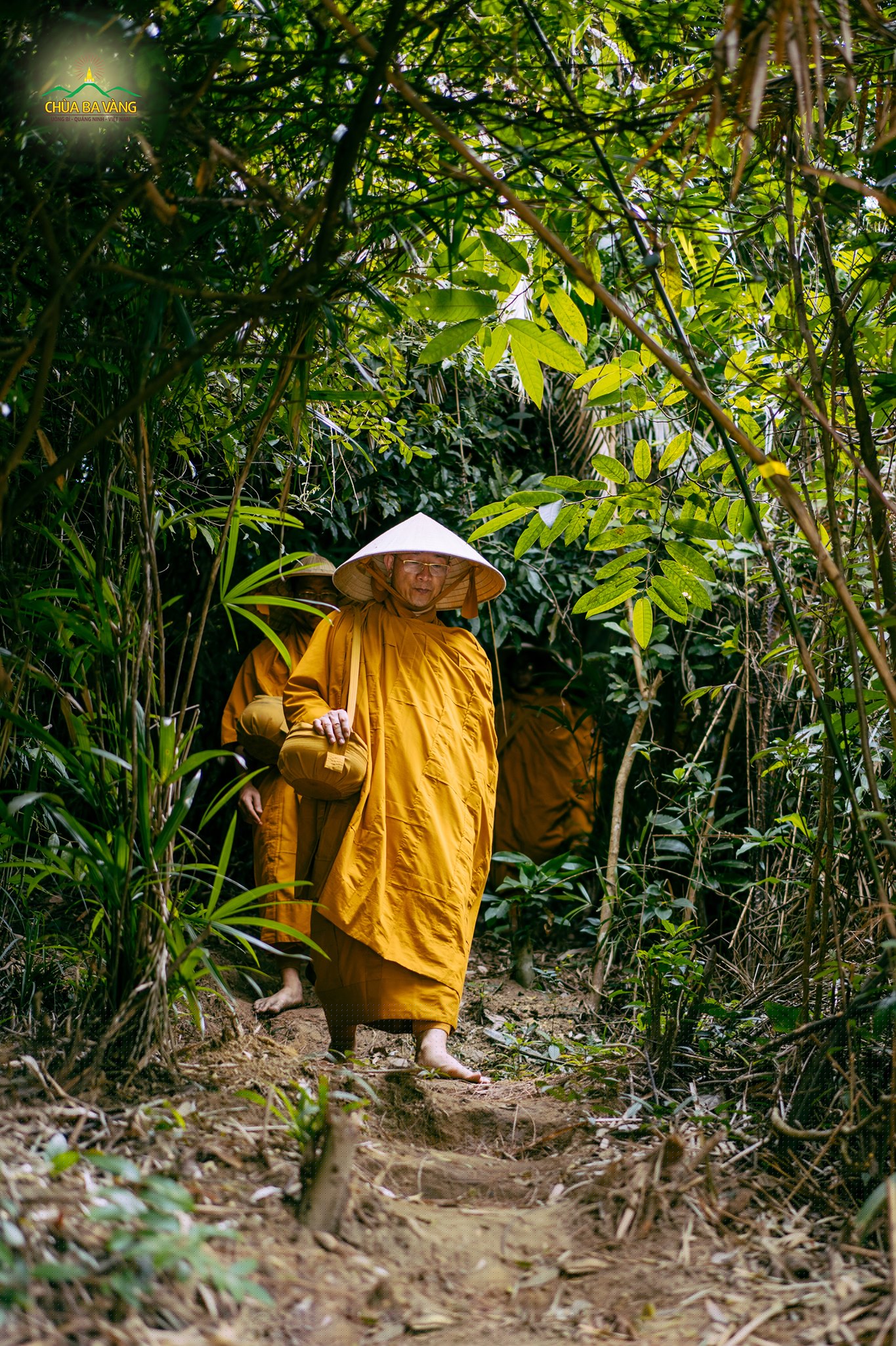 Tri ân Sư Phụ - Người đã sinh ra vì lợi ích cho chúng sinh  