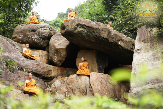 Chư Tăng chùa Ba Vàng tu tập trong rừng để rèn luyện và thanh lọc thân tâm