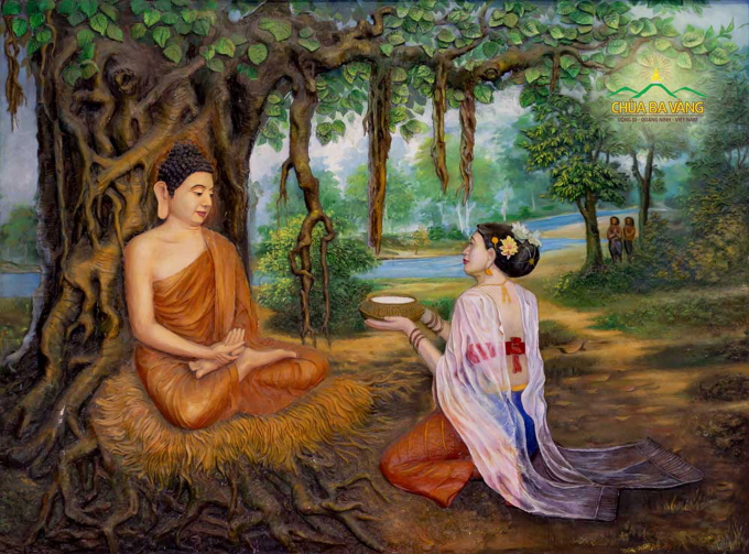Bát cháo sữa của nàng Sujata giúp Thái tử hồi sinh sức khỏe