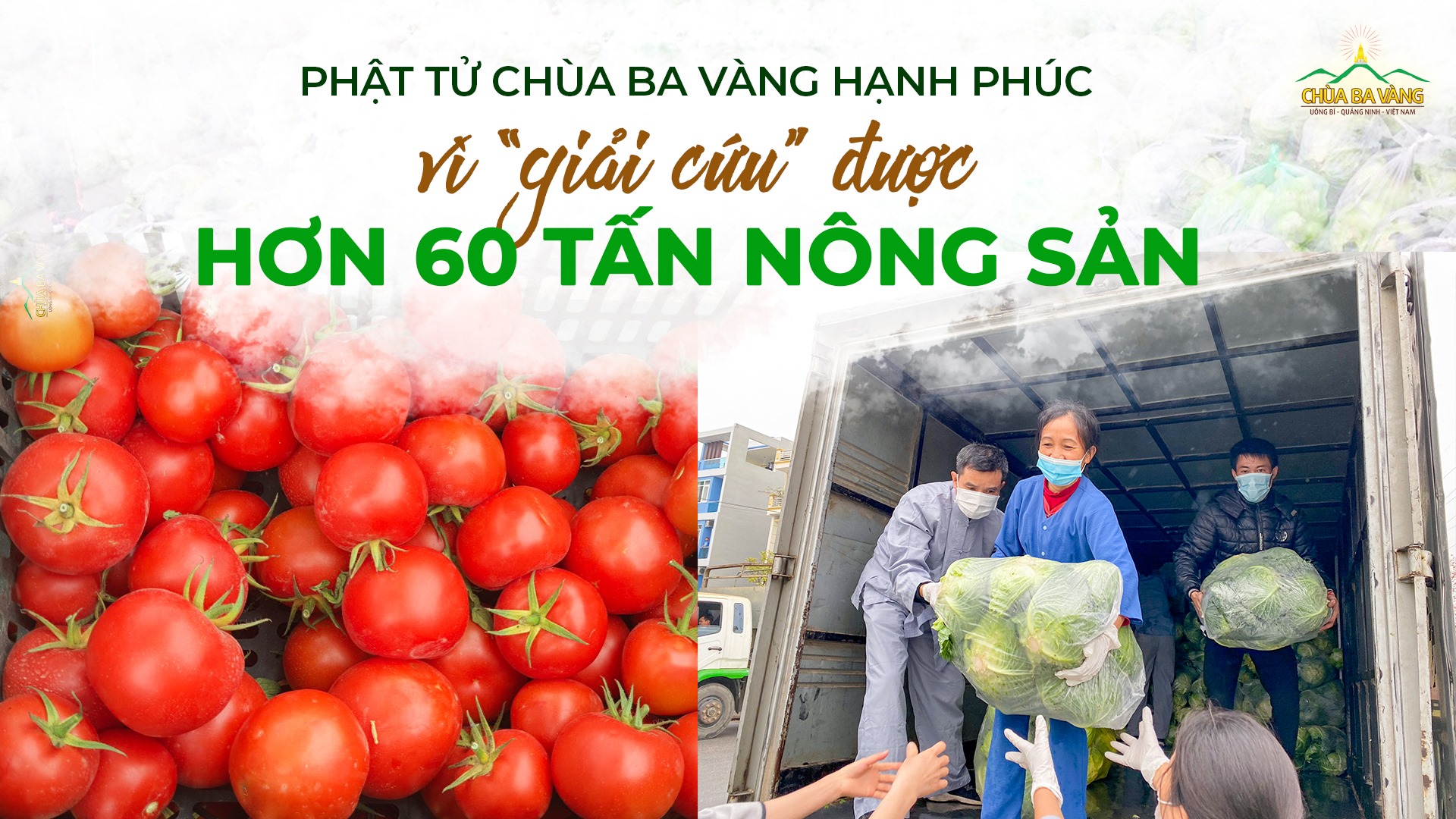 Phật tử chùa Ba Vàng hạnh phúc vì 