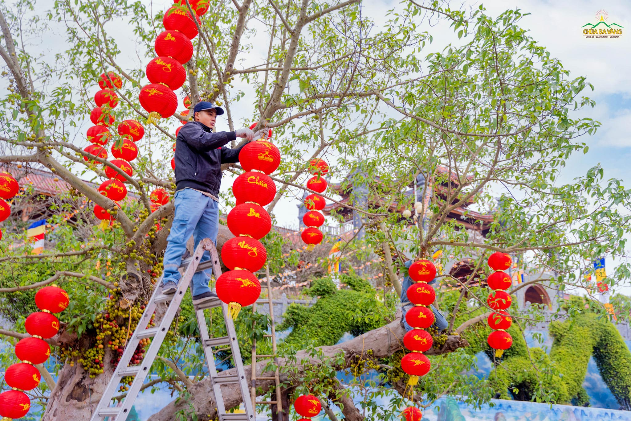 Những chiếc đèn lồng đỏ tượng trưng cho những điều may mắn, vẹn tròn cho mọi người, mọi nhà