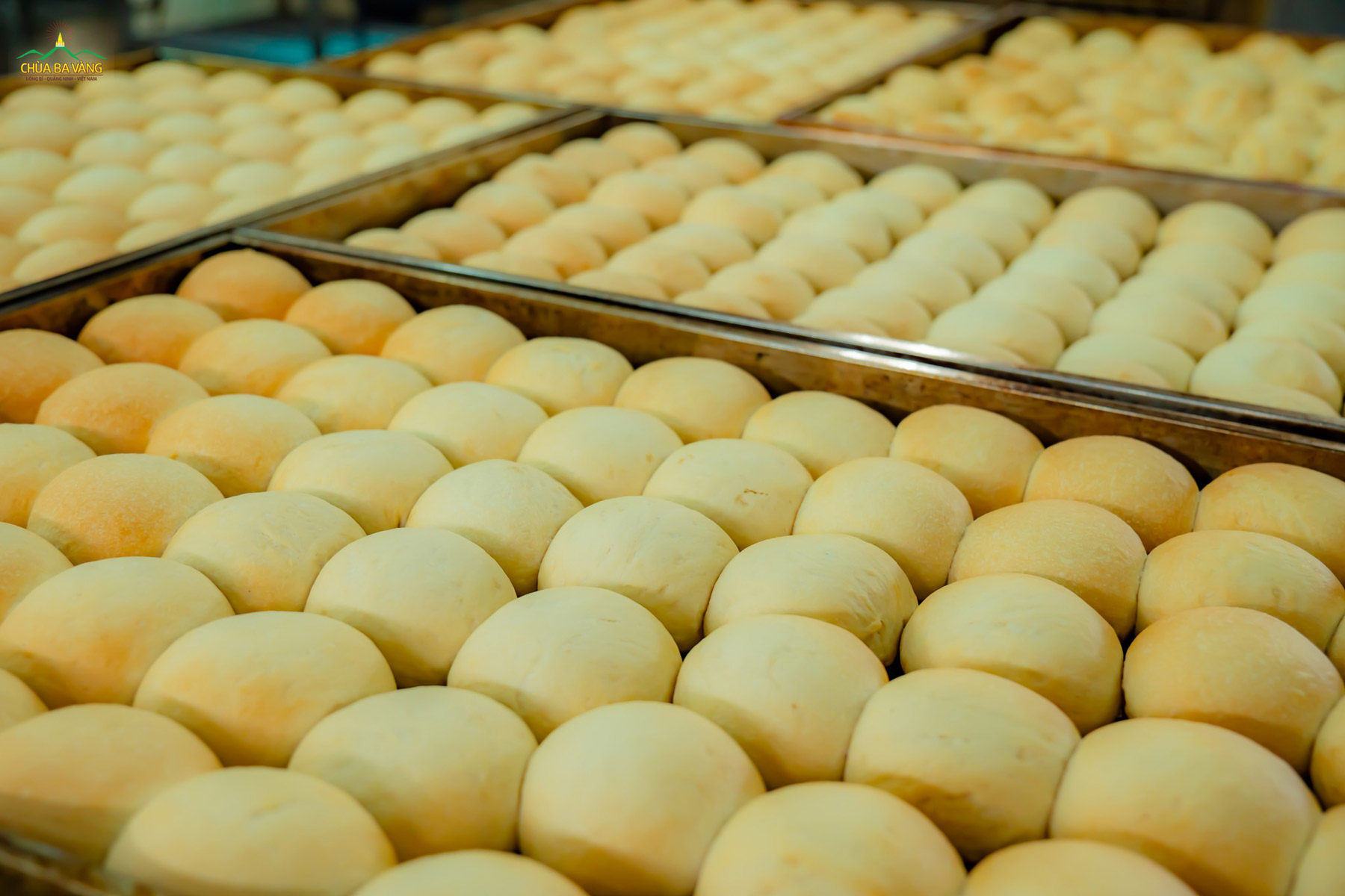 Những chiếc bánh được tạo nên từ đôi bàn tay khéo léo của các Phật tử trông thật đẹp mắt và hấp dẫn