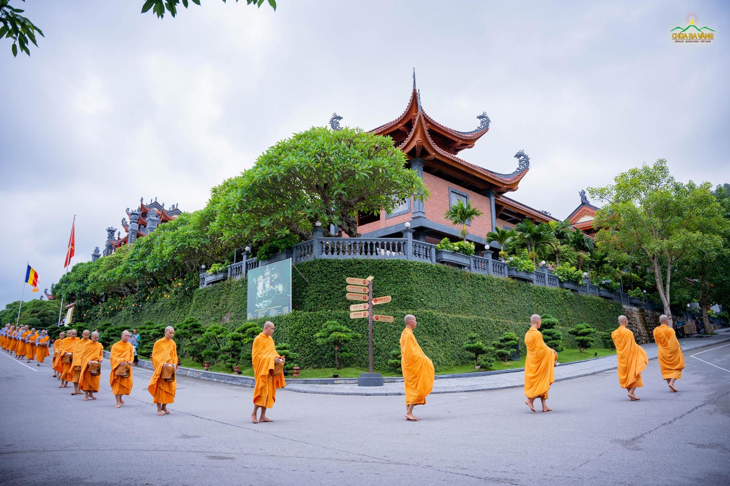 Những bóng huỳnh y cao quý