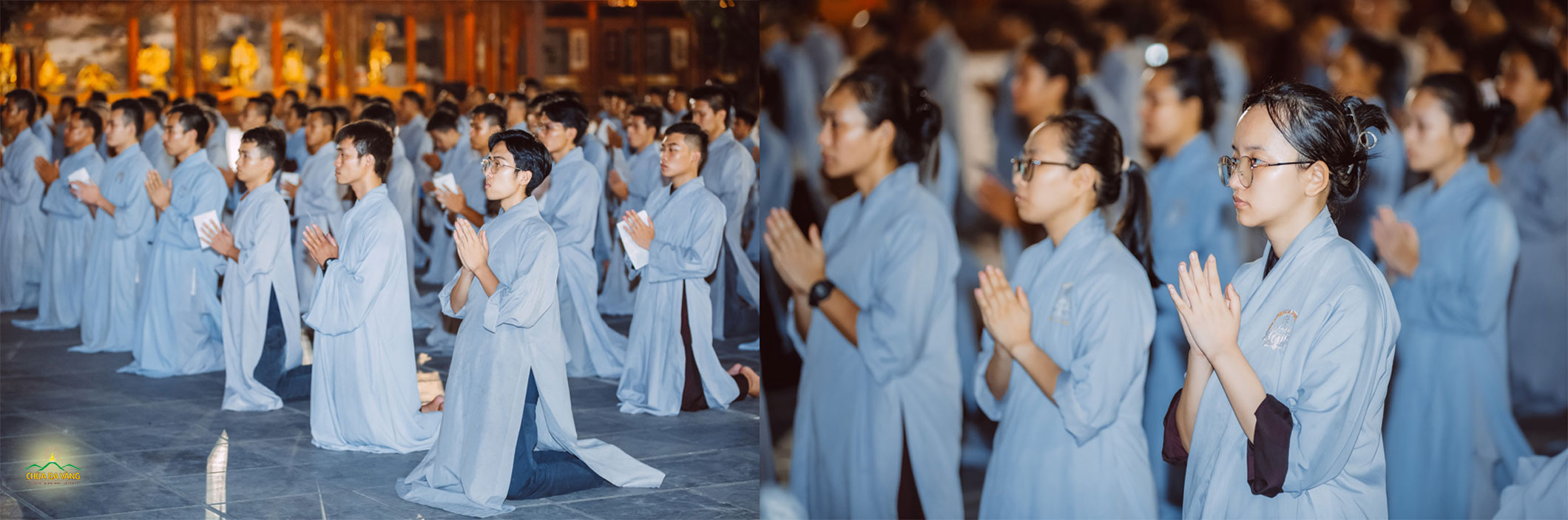 Các Phật tử chắp tay trang nghiêm hướng tâm cầu nguyện hóa giải bệnh sốt xuất huyết