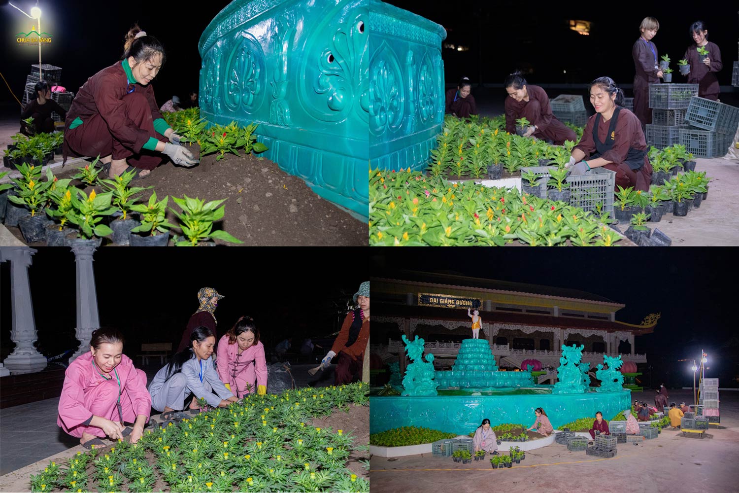 Dù đã tối muộn, các Phật tử vẫn hoan hỷ trồng cây hoa, để trang trí cảnh quan tại sân Phật Đản sinh