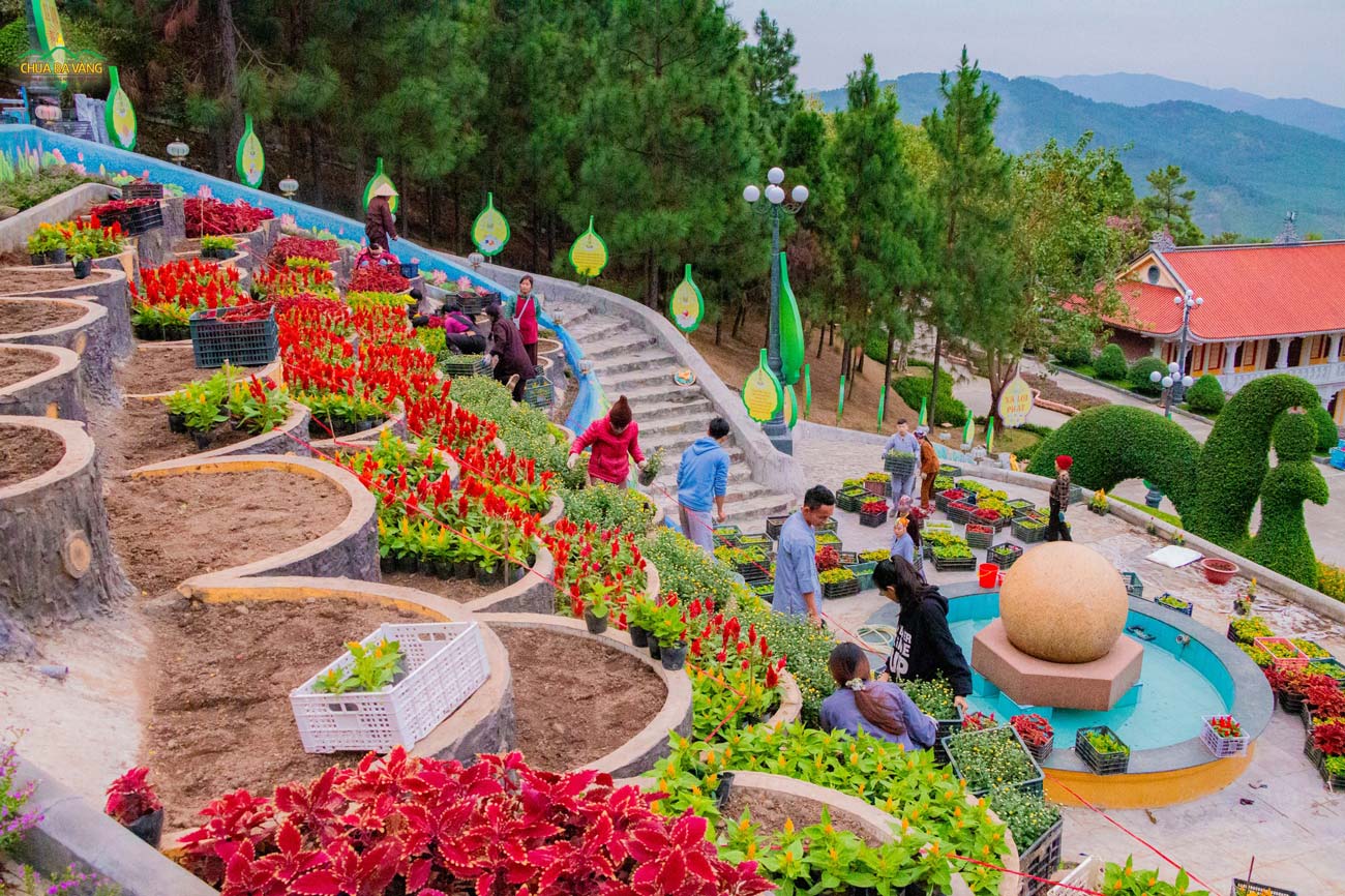 Rất nhiều cây hoa đủ màu sắc đang được các Phật tử vận chuyển để trồng tại khu vực tháp thờ Xá Lợi Phật, chùa Ba Vàng