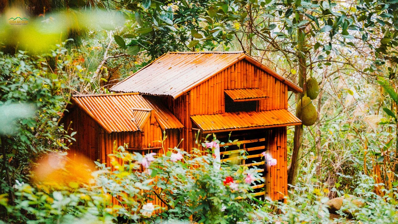 Ngôi nhà nhỏ giữa khu vườn tuyệt đẹp