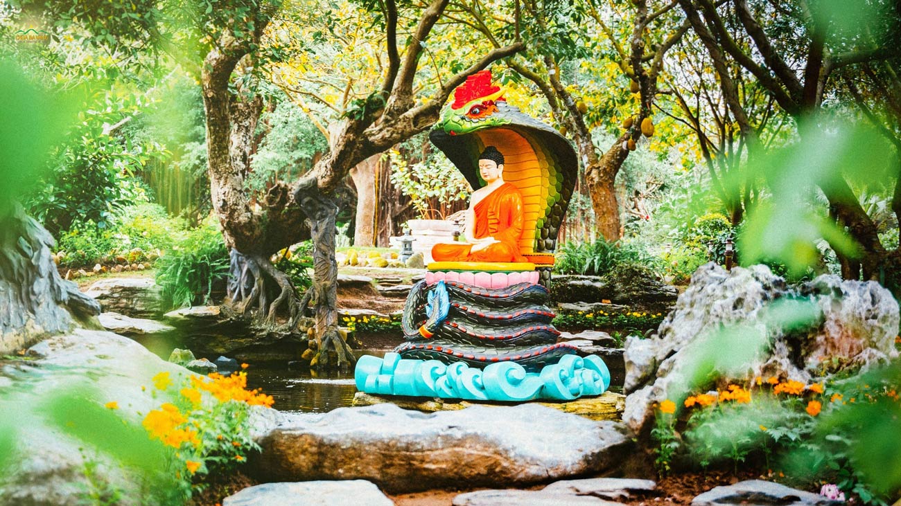 Tôn tượng rắn Thần che mưa cho Đức Phật uy nghiêm mang lại cảm giác linh thiêng của chốn thiền môn
