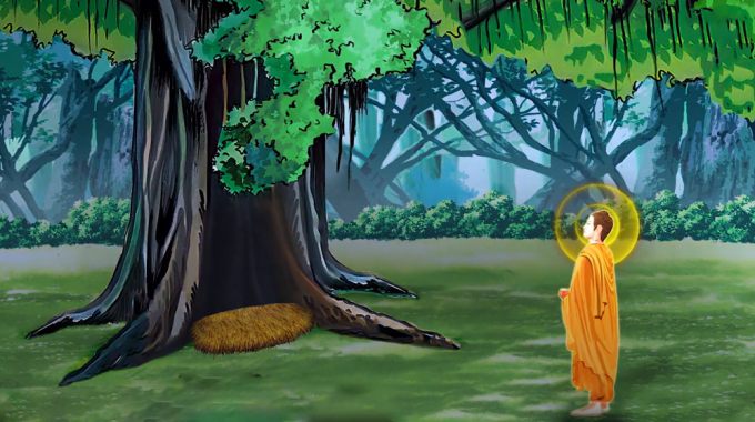 Sau khi thành đạo, Đức Phật đã dành trọn 7 ngày để hướng tâm tri ân tới cây Bồ Đề đã che chở Ngài trong suốt 49 ngày thiền định