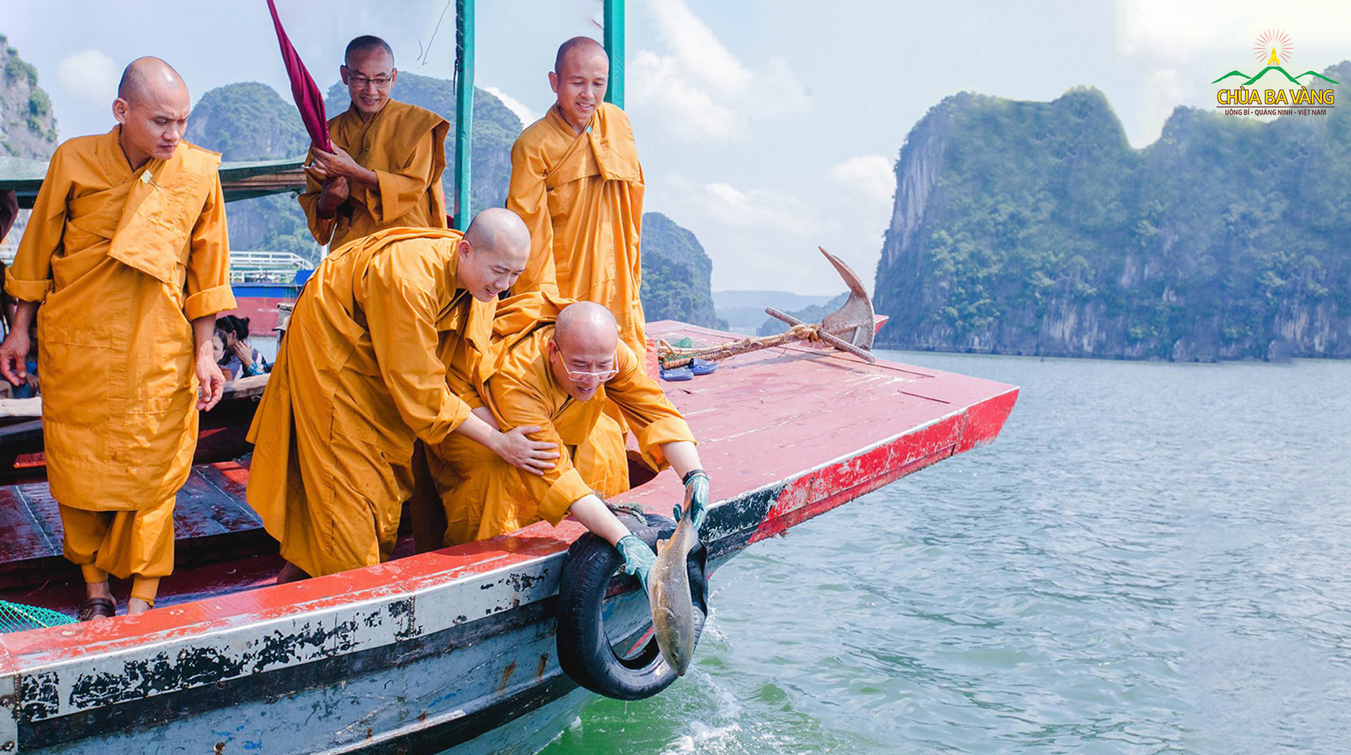 Sư Phụ Thích Trúc Thái Minh phóng sinh tại Vịnh Hạ Long