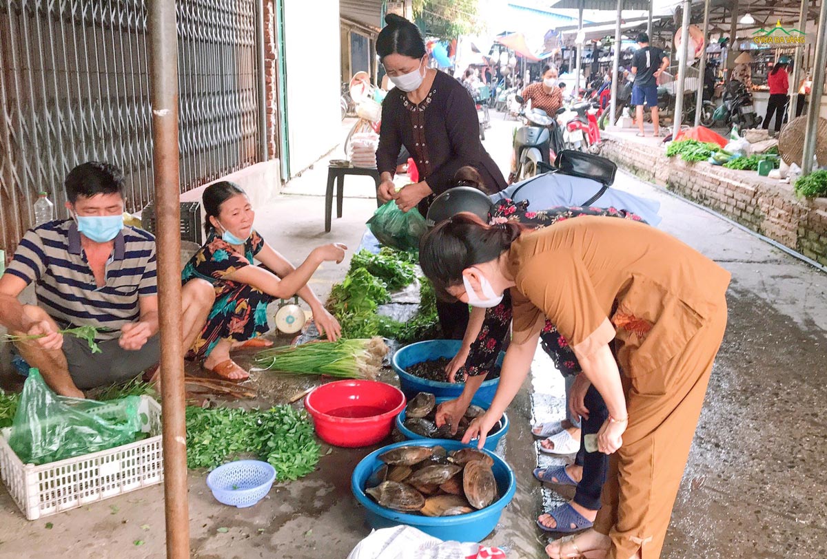 Các Phật tử tùy duyên đi mua các con vật như: cá, tôm, cua, ốc,... được bán tại chợ