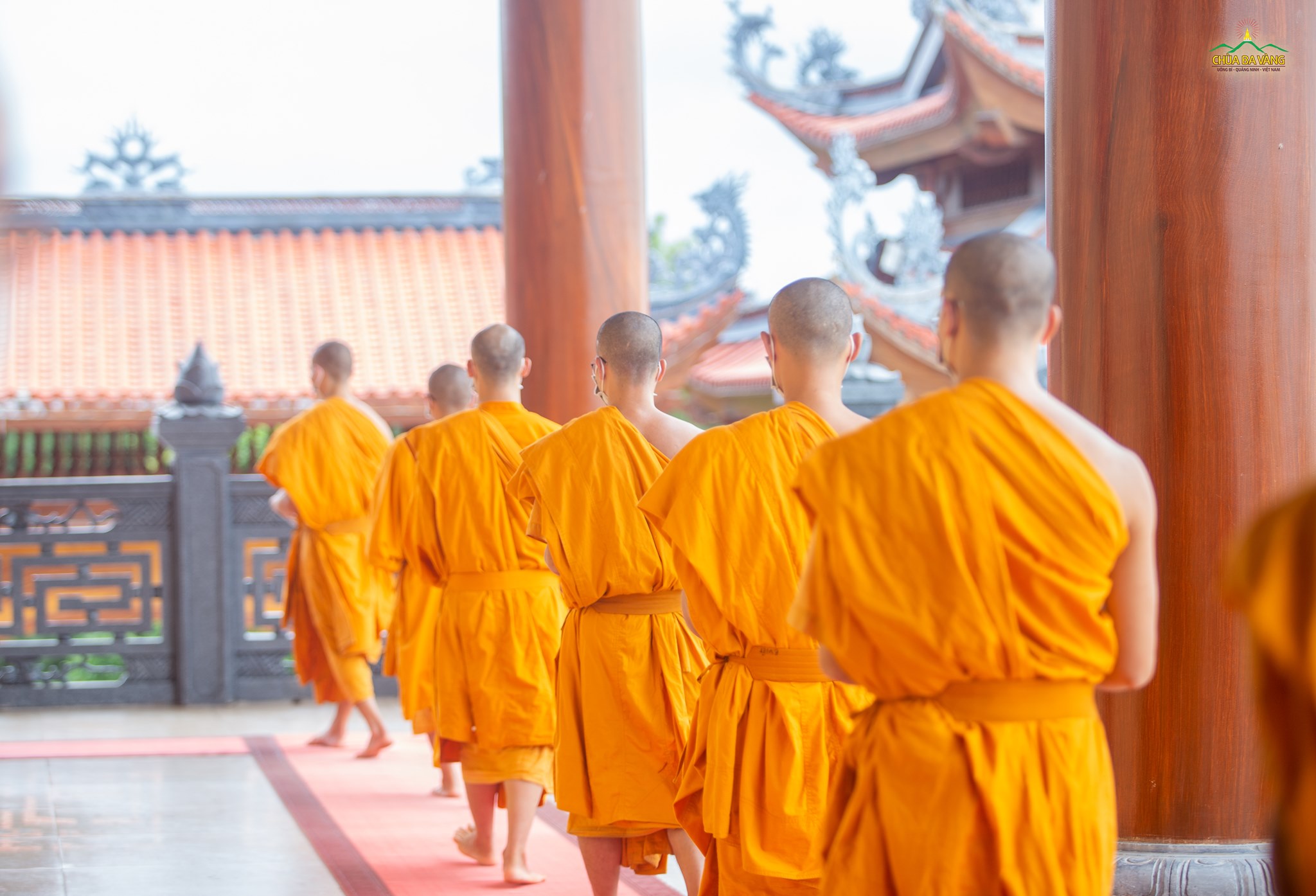 Hình ảnh chư Tăng chùa Ba Vàng trong buổi sớt bát, thọ nhận sự cúng dường của các Phật tử  