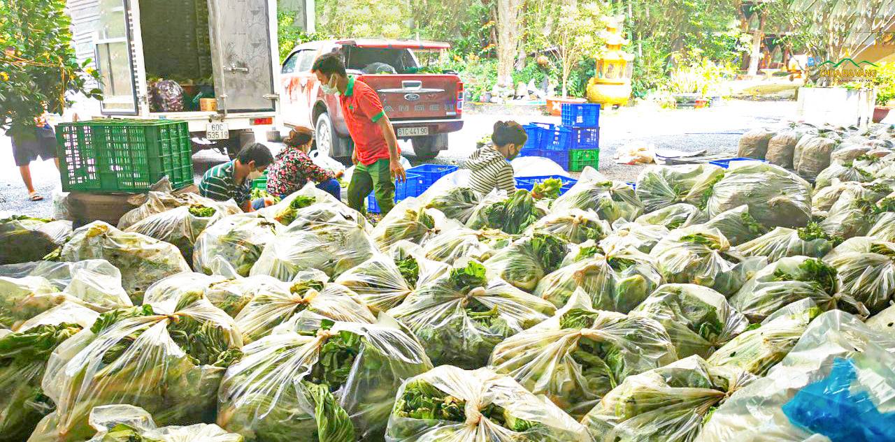 5 tấn rau củ quả các loại được trao tặng cho những hộ dân có hoàn cảnh khó khăn tại các khu cách ly trên địa bàn tỉnh Đồng Nai