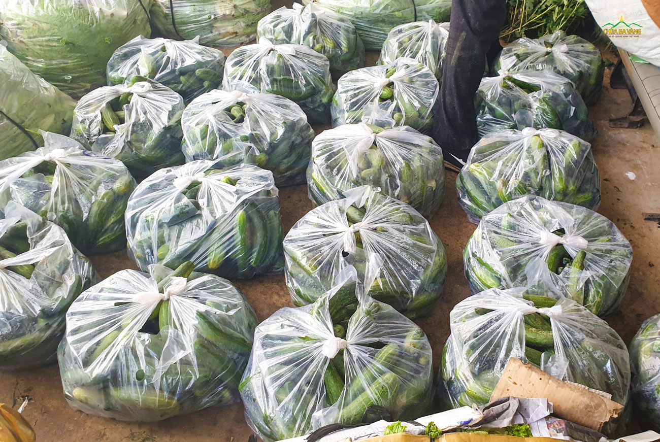 Nhu yếu phẩm hỗ trợ cho người dân có hoàn cảnh khó khăn tỉnh Đồng Nai bao gồm rau củ các loại  