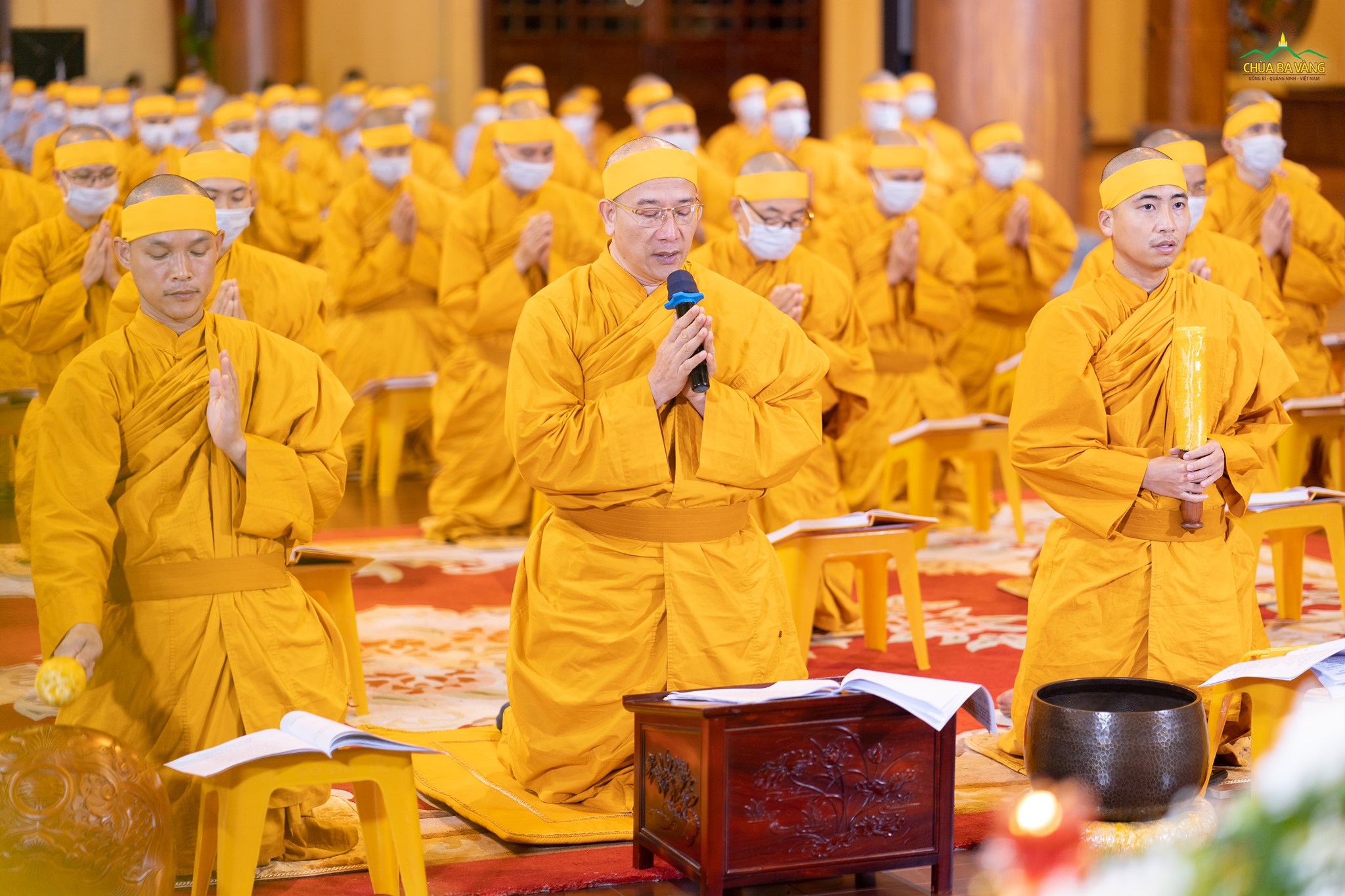 Sư Phụ Thích Trúc Thái Minh cùng chư Tăng chùa Ba Vàng tụng kinh cầu nguyện giác linh Hòa thượng Thích Phổ Tuệ cao đăng Phật quốc