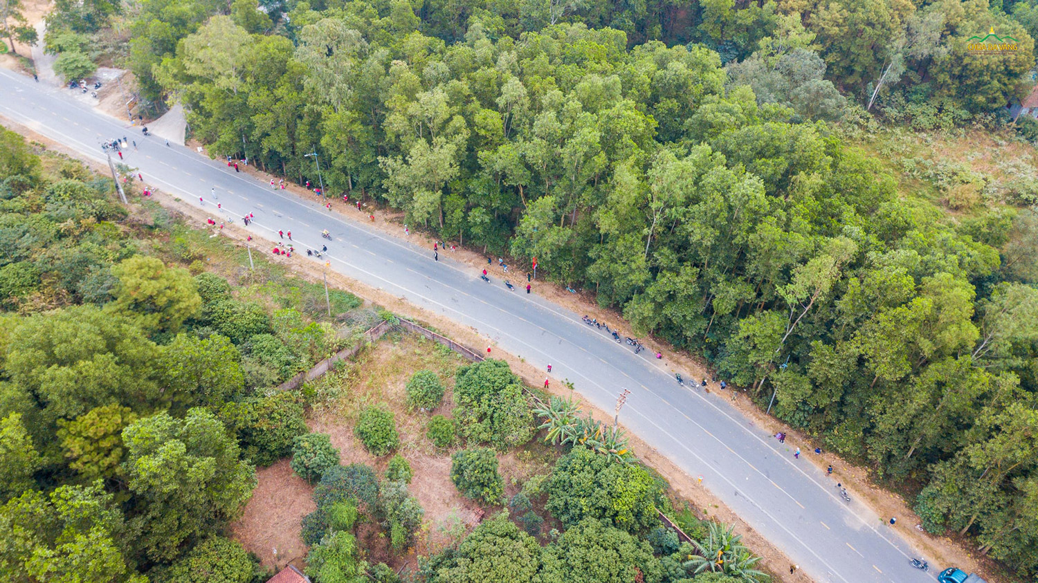 50.000 cây xanh được trồng trên tuyến đường Lựng Xanh, phường Quang Trung, thành phố Uông Bí.  