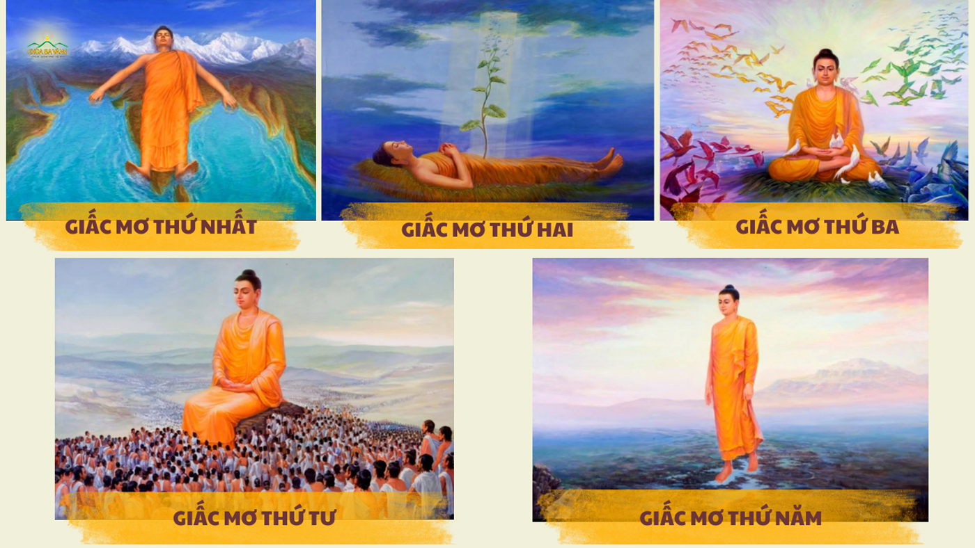 5 giấc mơ trước khi Đức Phật thành đạo