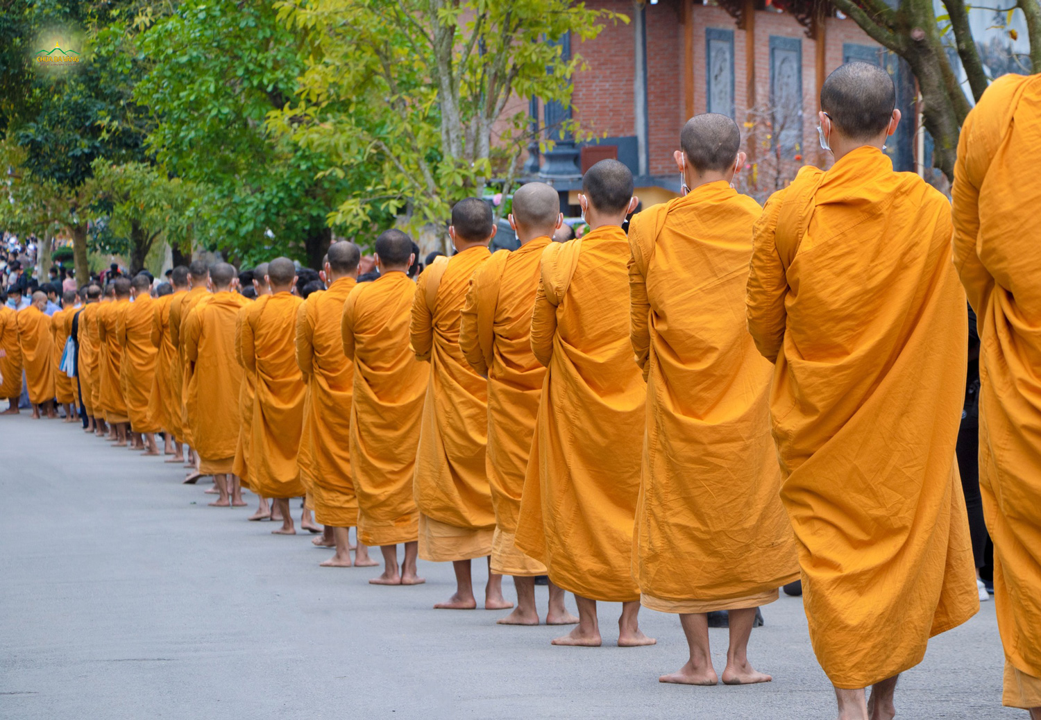 Chư Tăng tự tại ôm bình bát khất thực, thọ nhận sự cúng dường của nhân dân, Phật tử thập phương.