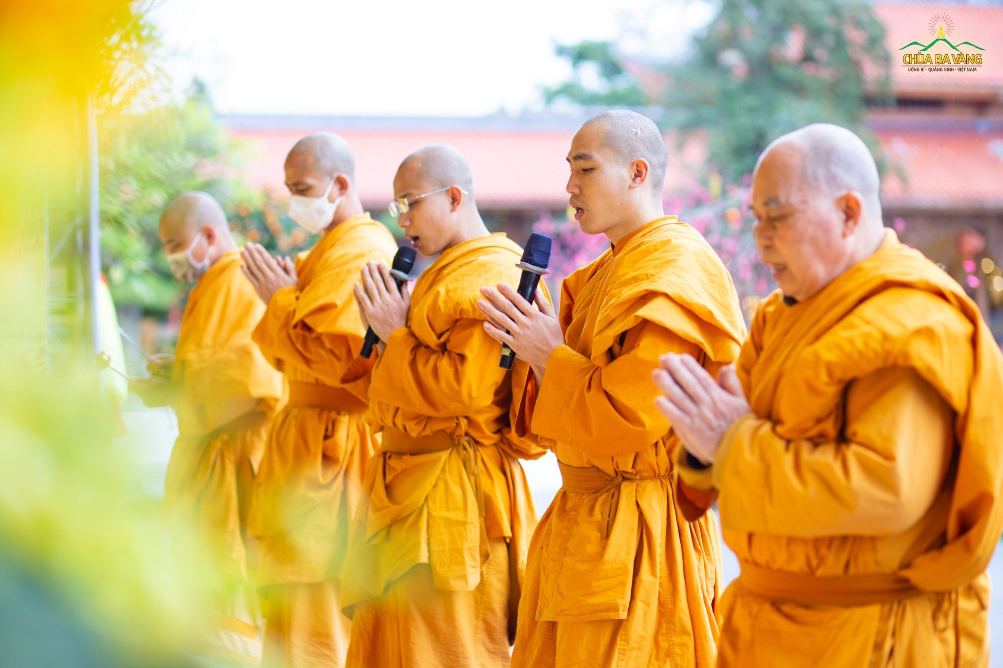 Hình ảnh chư Tăng chùa Ba Vàng tụng đọc kinh Dược Sư, cầu an cho Quốc gia, xã hội