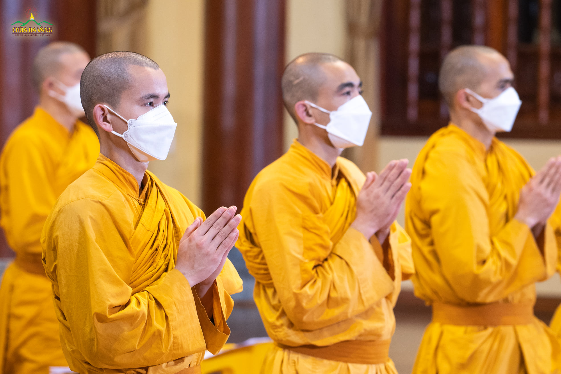 Hình ảnh chư Tăng chắp tay trang nghiêm hướng lên ngôi Tam Bảo