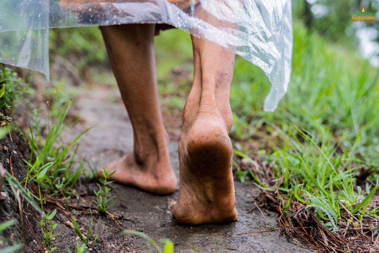 Bàn chân với những vết chai sạn trải khắp núi rừng Thành Đẳng đều vì mục đích tìm cầu con đường giải thoát, làm lợi ích cho quần sinh. 