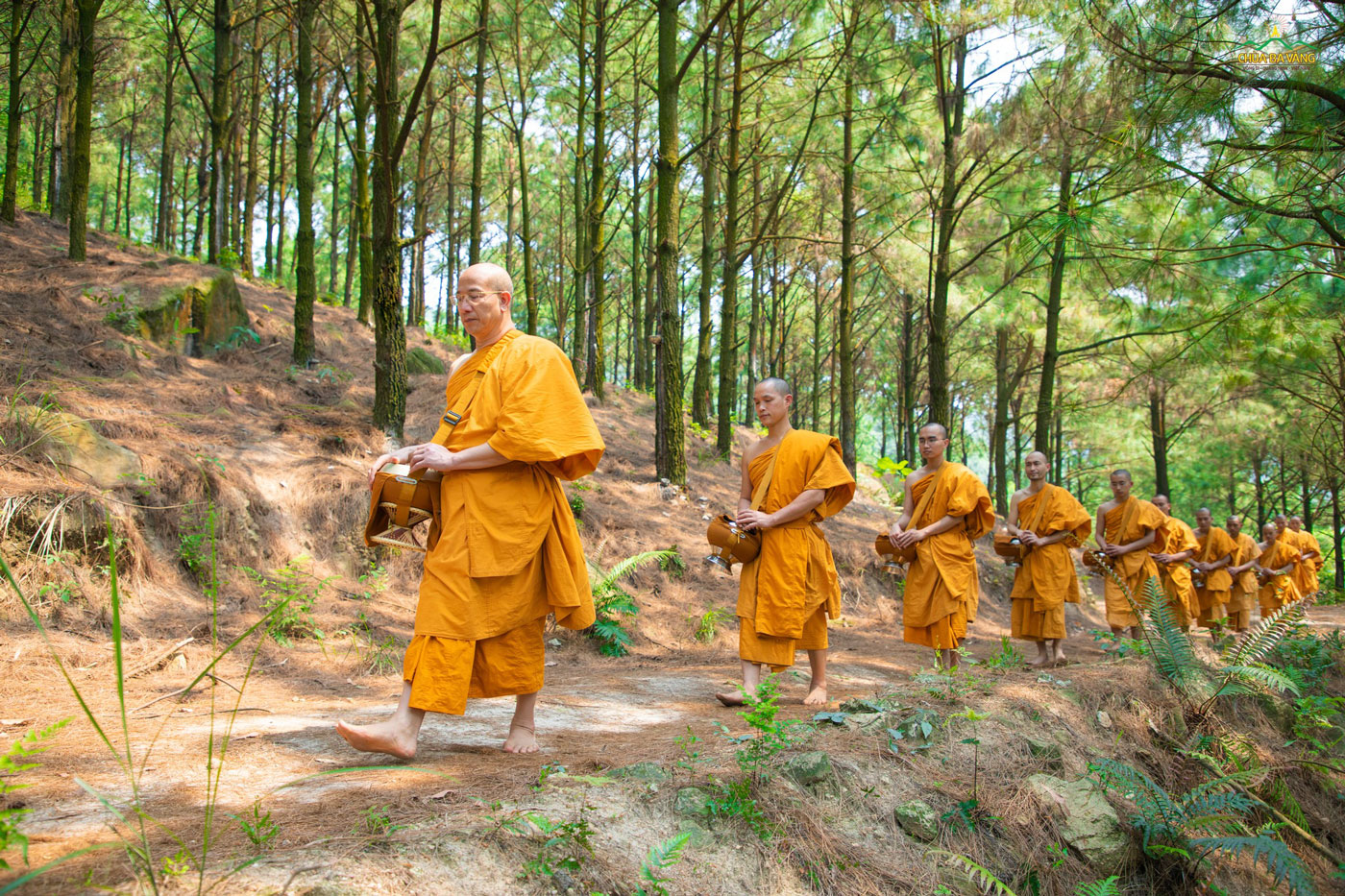 Sư Phụ Thích Trúc Thái Minh cùng Tăng chúng chùa Ba Vàng tiếp bước Sư Tổ thực hành hạnh hạnh đầu đà