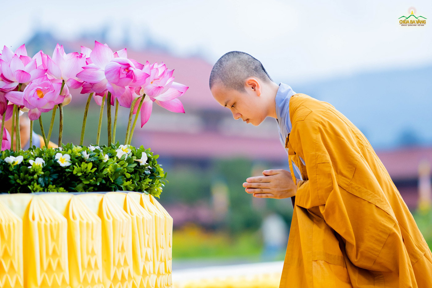 Những đóa sen chính là tâm thành của những người con Phật dâng lên cảm niệm, tri ân sự xuất hiện thiêng liêng, cao cả của Đức Thế Tôn