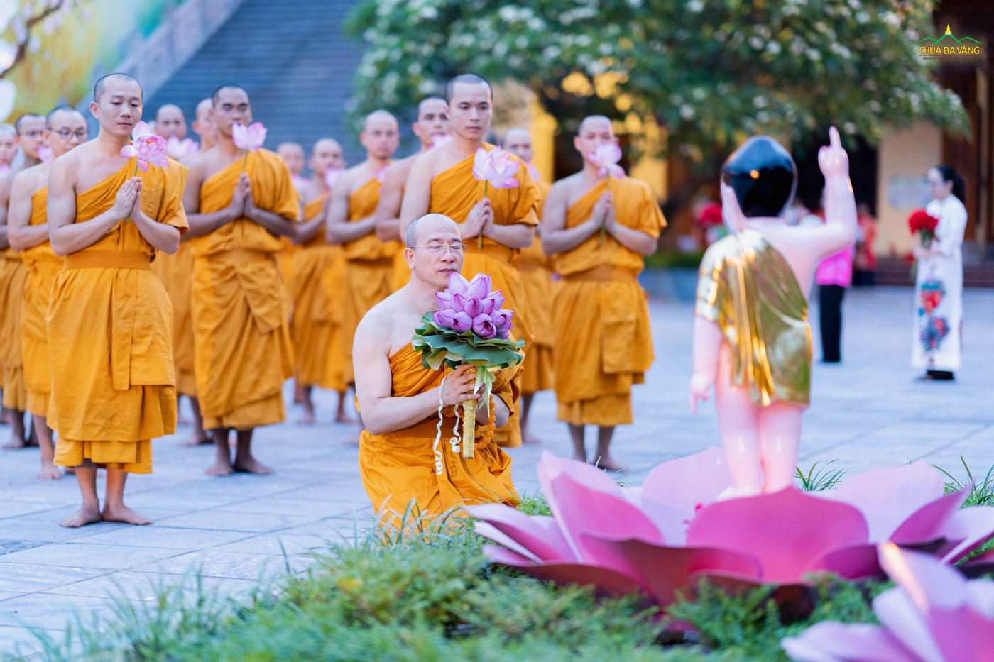 Sư Phụ Thích Trúc Thái Minh dâng hoa sen cúng dường trước tôn tượng Đức Thế Tôn nhân kỷ niệm đản sinh của Ngài