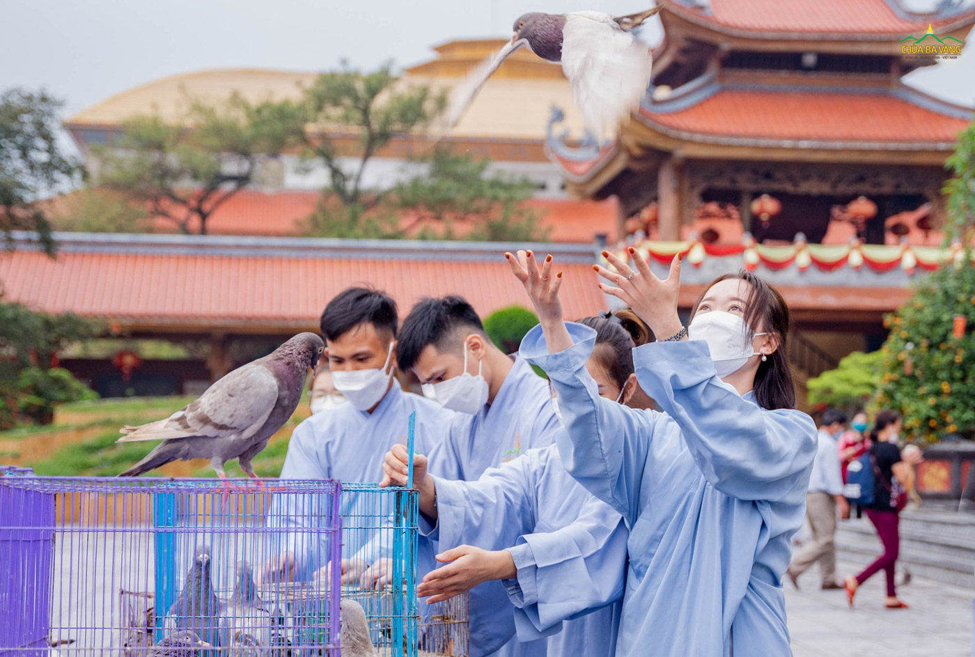 Các Phật tử hoan hỷ thả những con chim sau khi chư Tăng tác lễ phóng sinh cho chúng  